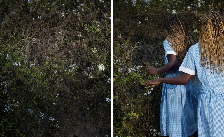 With Her First Solo Museum Show in the US, Widline Cadet Conjures Scenes She Can’t Quite Remember With Her First Solo Museum Show in the US, Widline Cadet Conjures Scenes She Can’t Quite Remember