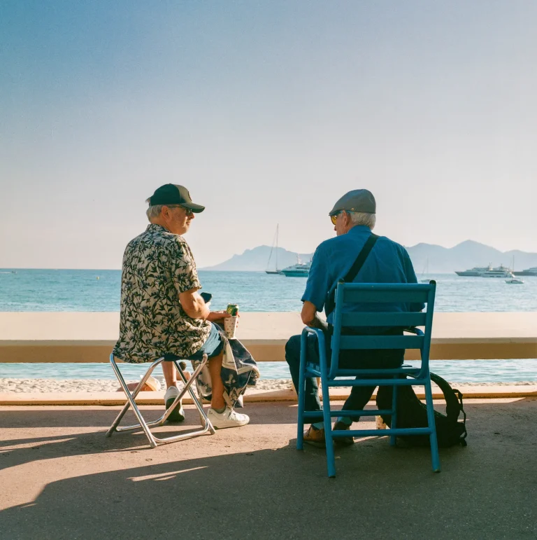 The Real Stars of Cannes by Johanna Berghorn The Real Stars of Cannes by Johanna Berghorn