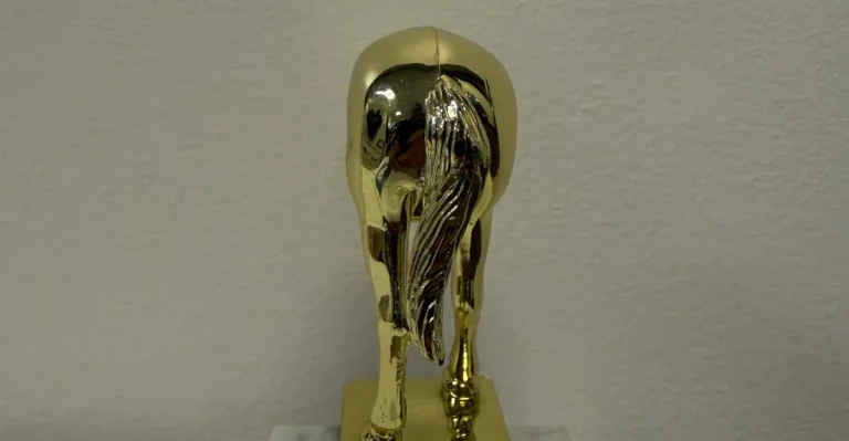 Behold, the Elon Musk jackass trophy