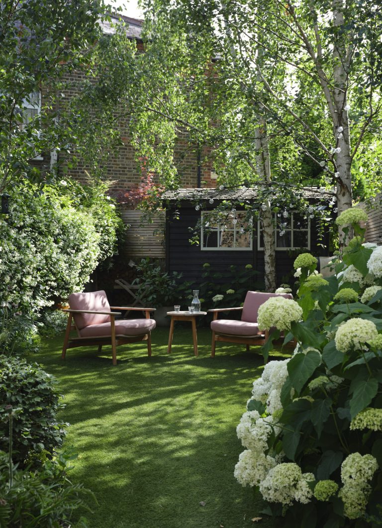 These 5 Plants Look Great, but Lack Scent — Choose These Instead
