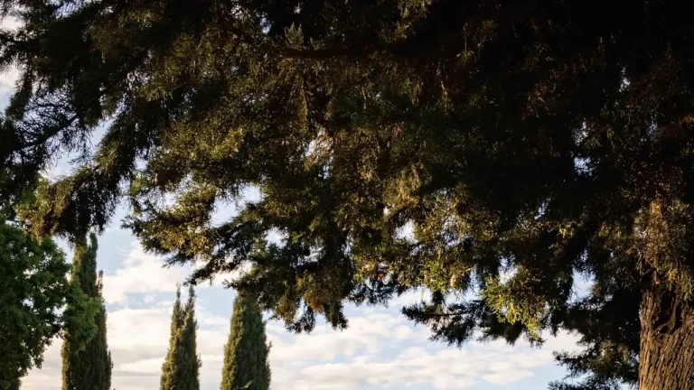 23 Best Airbnbs in Italy, From Puglia to the Dolomites