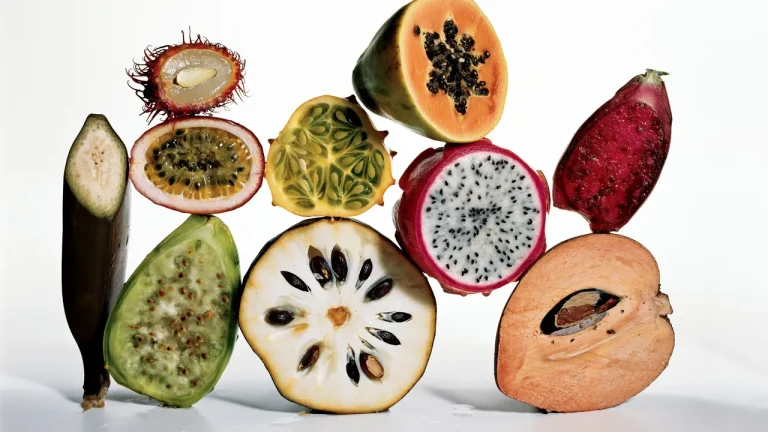 13 Fiber-Rich Foods for a Healthier Gut 13 Fiber-Rich Foods for a Healthier Gut