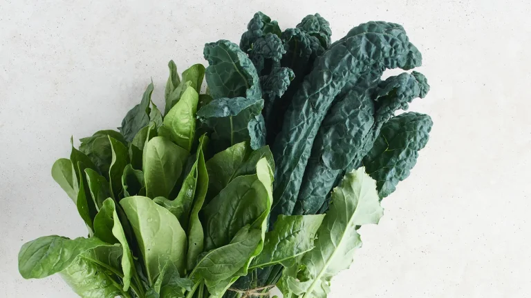 4 Antioxidant-Rich Foods Japanese Women Eat for Gut Health 4 Antioxidant-Rich Foods Japanese Women Eat for Gut Health