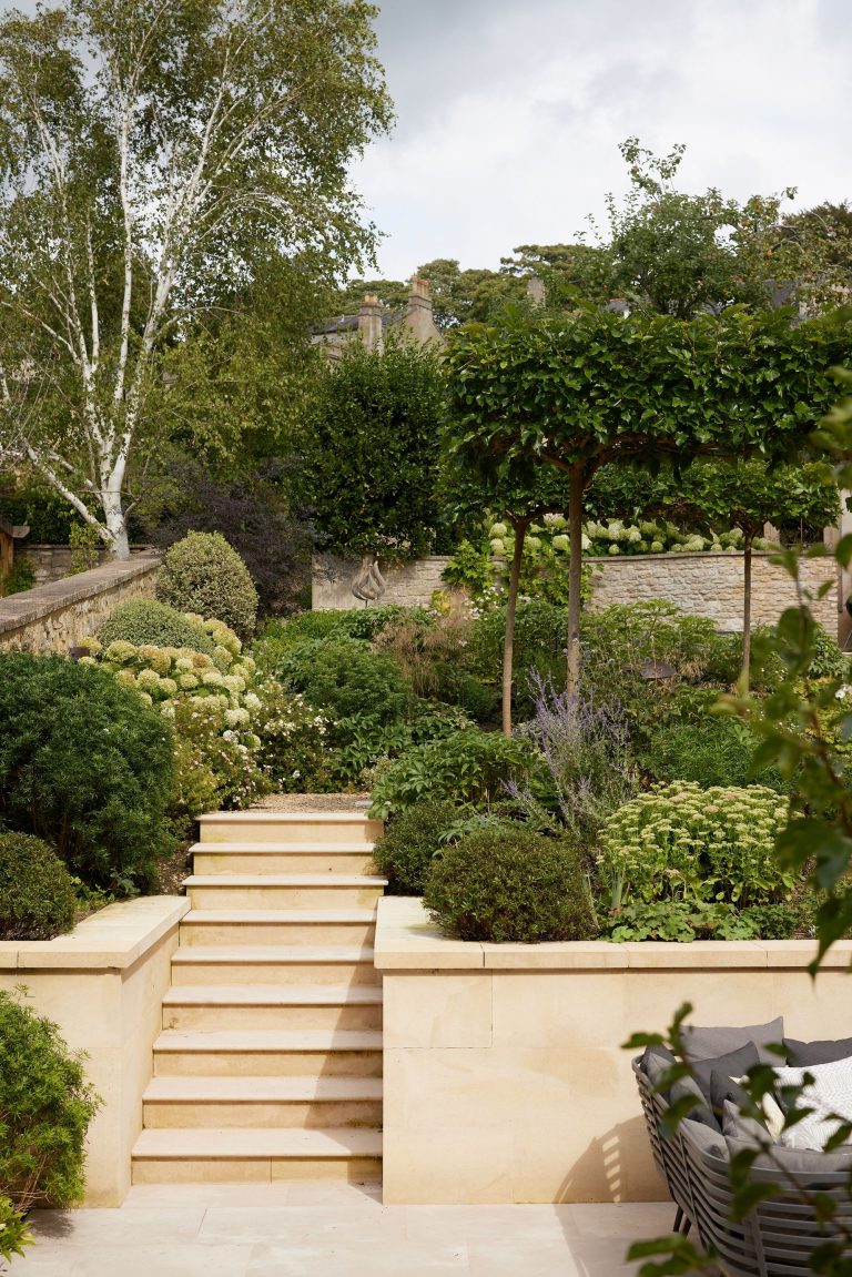 Sorry Gazebos, This ‘Parasol Tree’ Is Better for Shade and Privacy